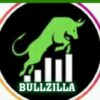 Bullzilla123